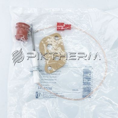 Електрод іонізації Buderus 7100238 Logamax GB112 GB022-24  фото