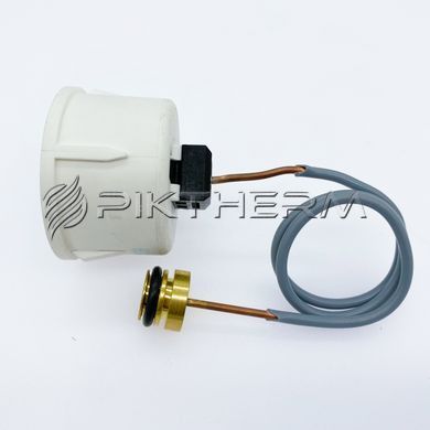 Манометр Viessmann Vitopend WH1D Vitodens WB1B 7828644 7834985  фото