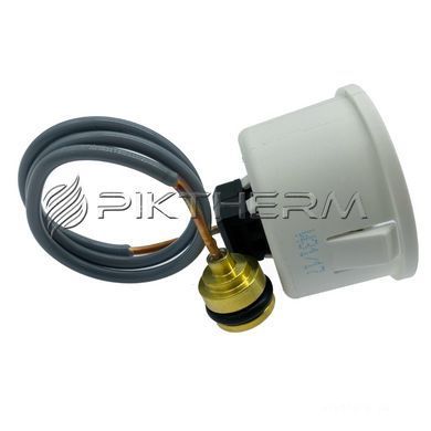 Манометр Westen Baxi 8922460 Pulsar D Quasar D Fourtech Mainfour ECO 4S  фото