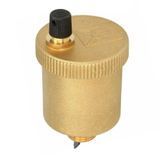 Автоматичний повітровідвідник Vaillant 061707 TURBOmax ATMOmax ecoTEC  фото