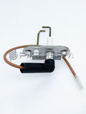 Електрод розпалу та іонізації Protherm 0010037815 Puma Jaguar Condens  фото