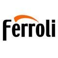 Ferroliфото