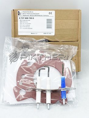 Електроди розпалу іонізації 87376007950 Bosch Buderus Junkers  фото
